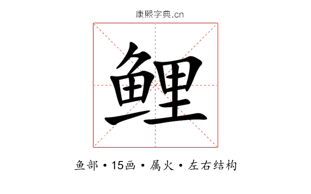 鲤 鲤