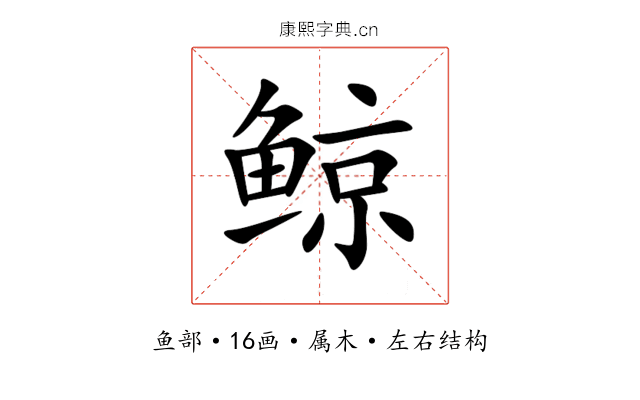 鲸 鲸