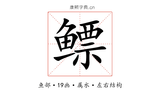 鳔 鳔