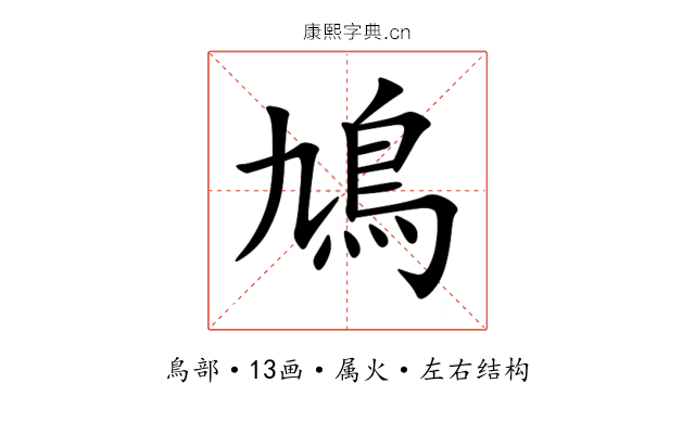 鳩 鳩