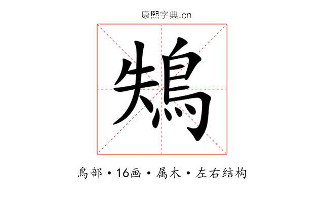 鴩 鴩
