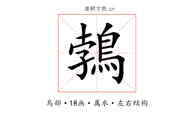 鵓
