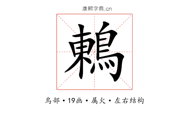 鶇 鶇