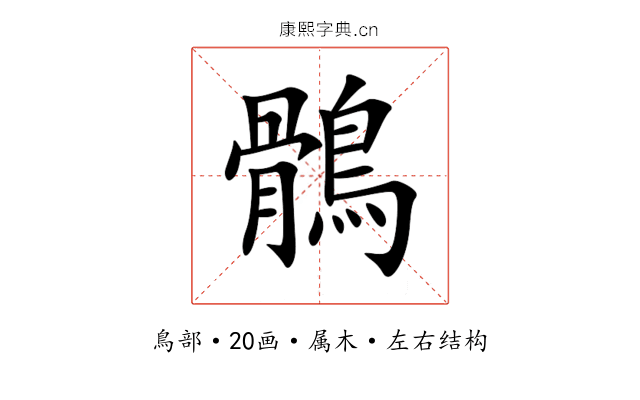 鶻 鶻