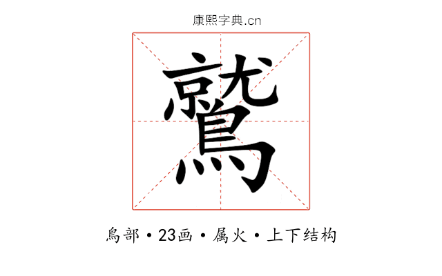 鷲 鷲