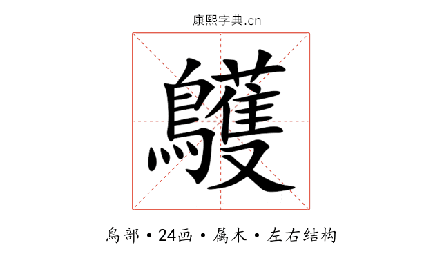 鸌 鸌