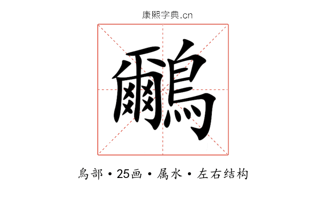 鸍 鸍