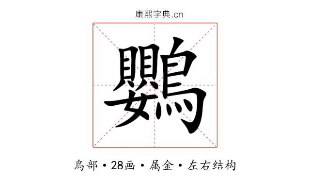 鸚 鸚