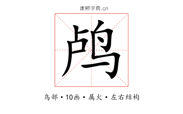 鸬 鸬