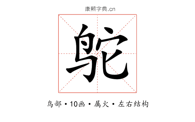 鸵 鸵