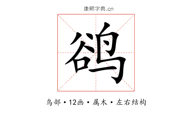 鹆
