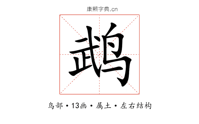 鹉 鹉