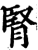 腎(印刷字体·宋·增韵)